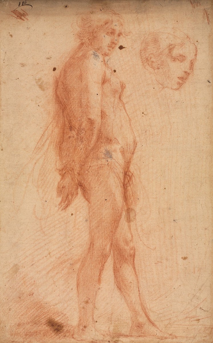 Study of a Standing Male Nude with a Study of Head in Three Quarter Profile c 16