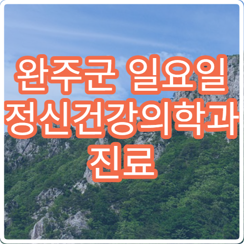 완주군 일요일 정신건강의학과 진료 병원 – 불면, 불안, 우울증 상담 가능한 병원 안내
