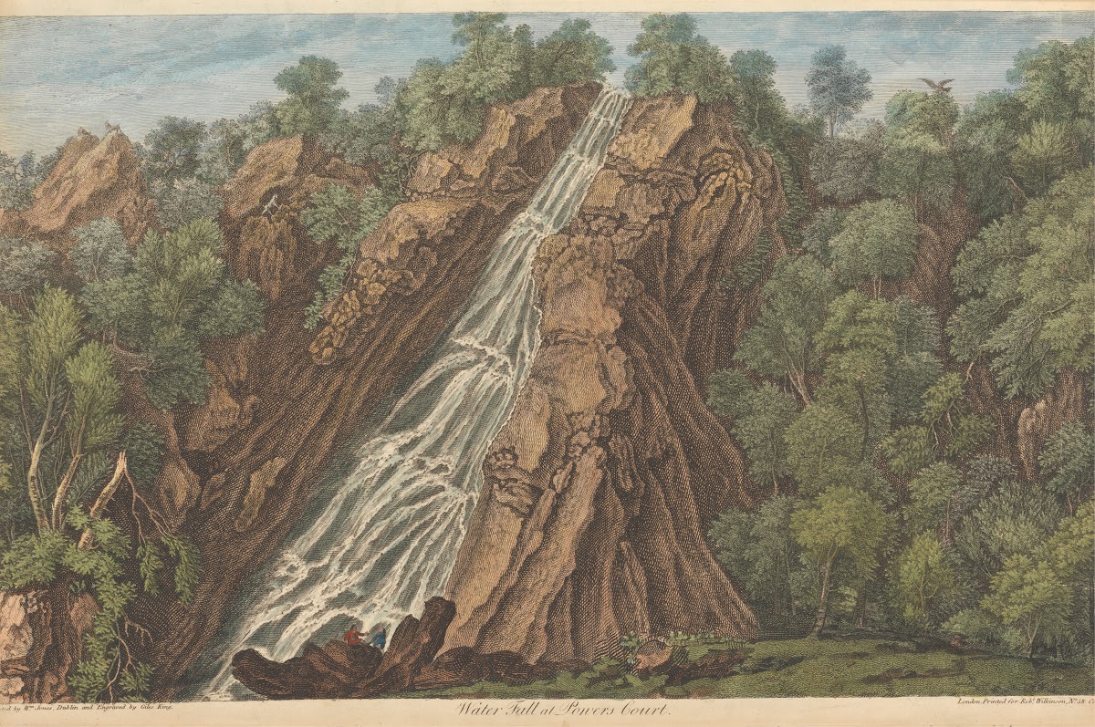 Water Fall at Powers Court 1744