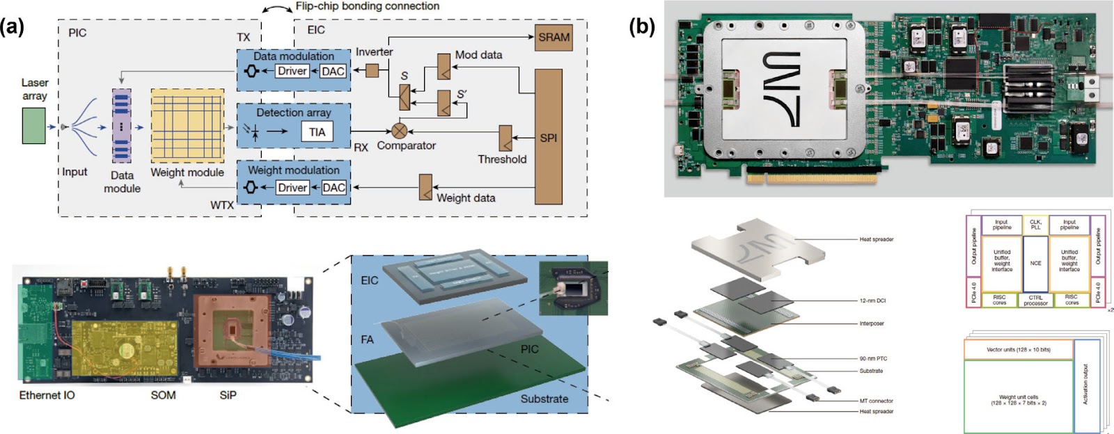 Large-scale integrated photonic accelerators for ultralow-latency and universal AI computing
