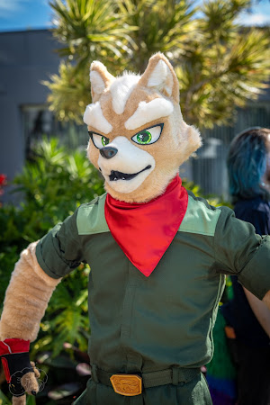 furdu-03677.jpg