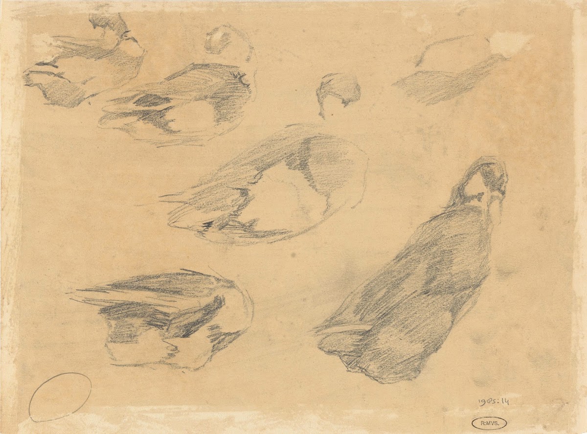 Schetsen van eenden 20th century