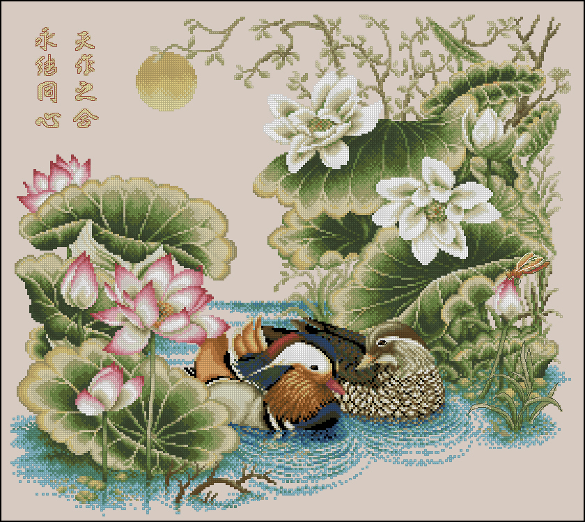 CMP PINN57 Romantic Mandarin Duc