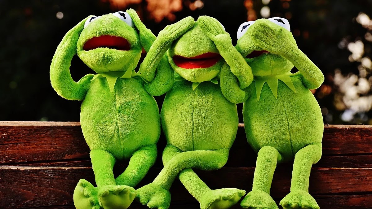 관용구 눈 감고 아웅의 의미와 비슷한 표현 비교