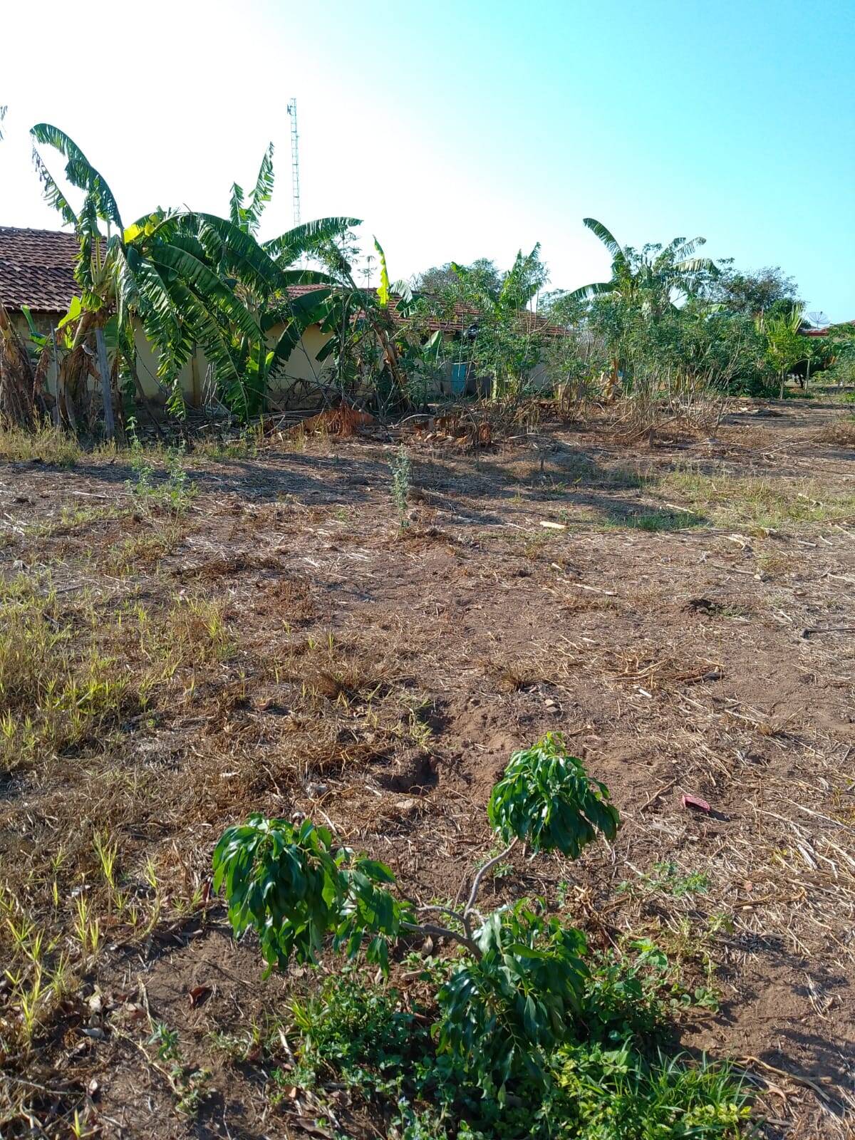 Fazenda em Arinos - MG  6