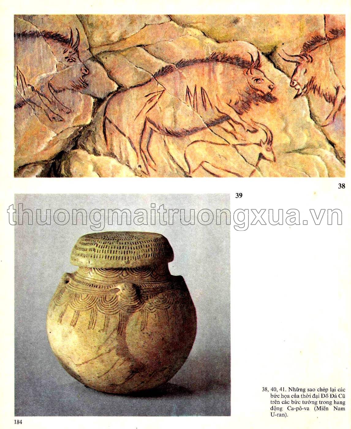 Con người trở thành khổng lồ (1982) - Trang 182