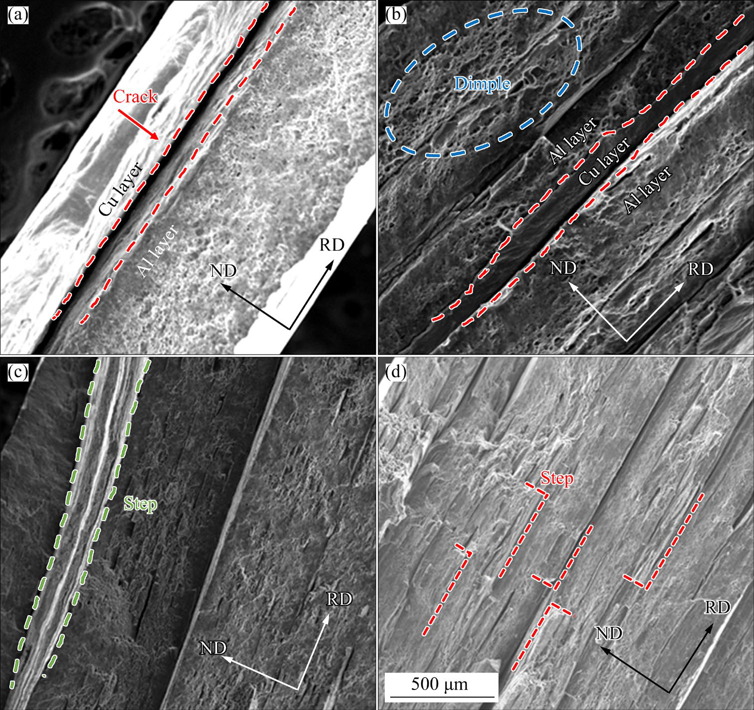 6061 Al/Cu layered composites with high strength and well interfacial bonding prepared by accumulative roll bonding