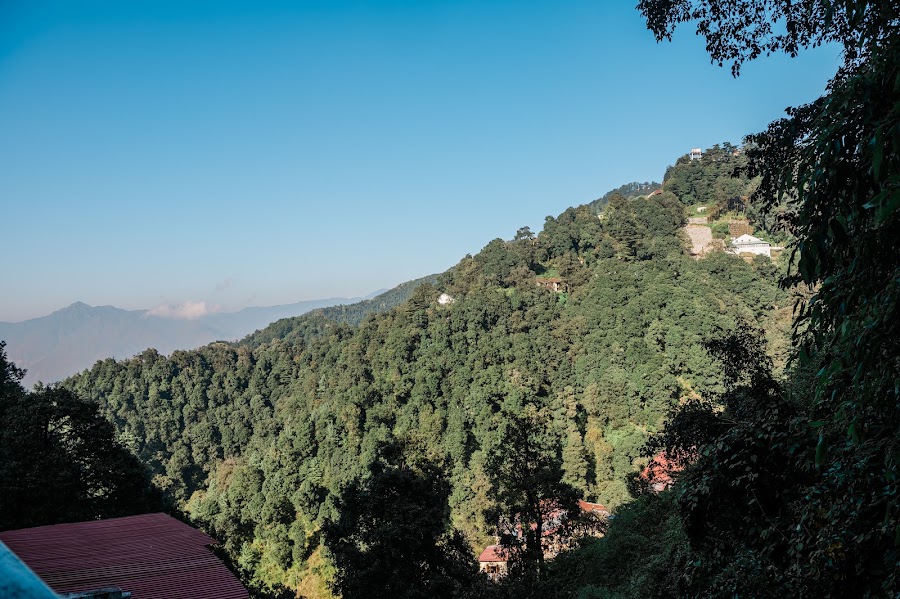 Executive With Balcony (Non-View) — Hotel Shiva Continental Mussoorie, photo 5