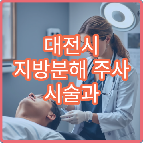 대전시 지방분해 주사 시술과 체형 관리 병행 가능한 병원 정보