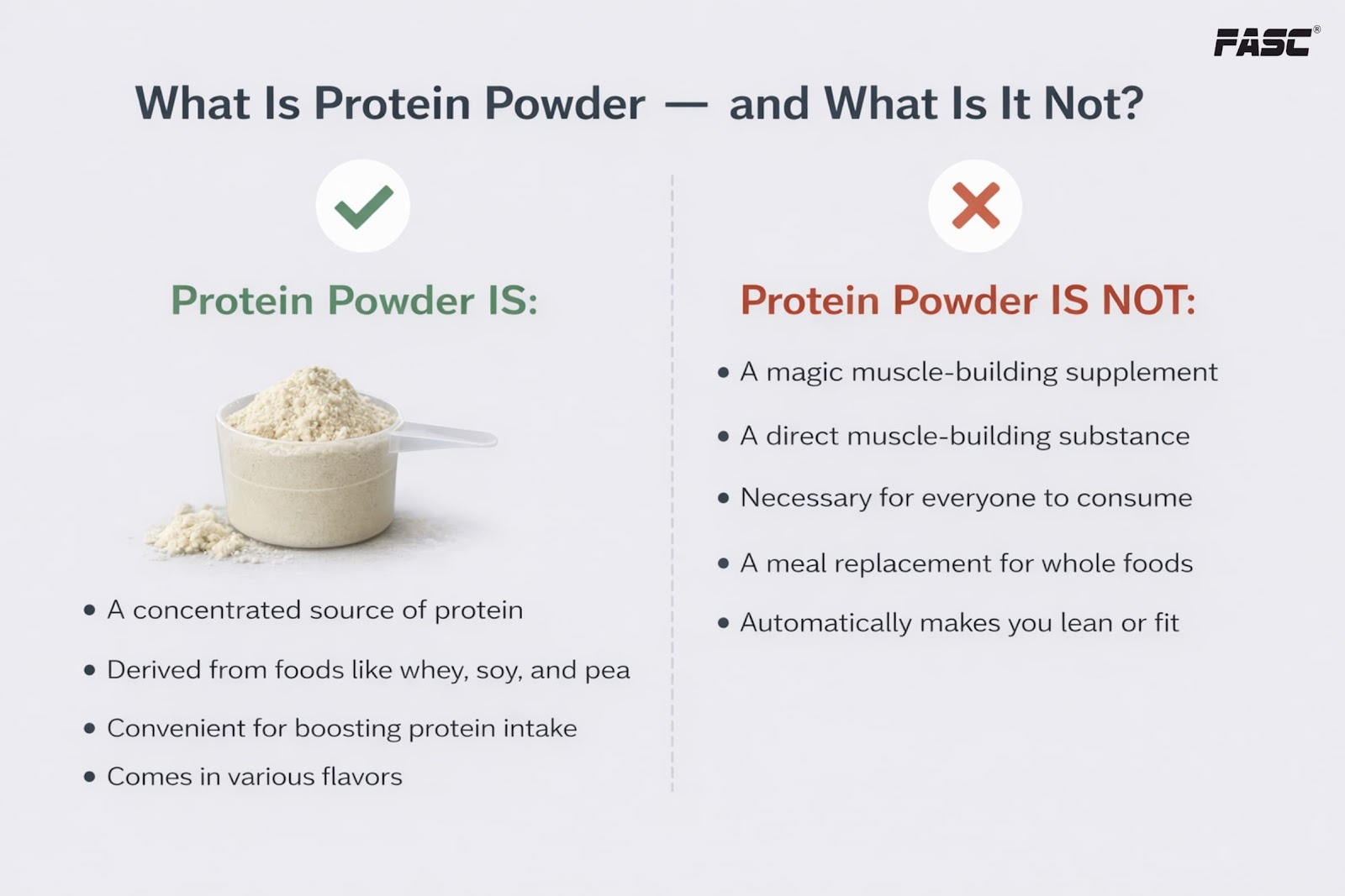 What is protein powder