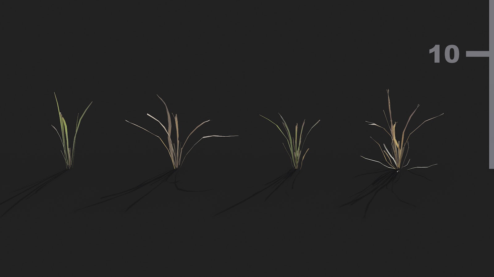 Maxtree - Plant Models Vol.21