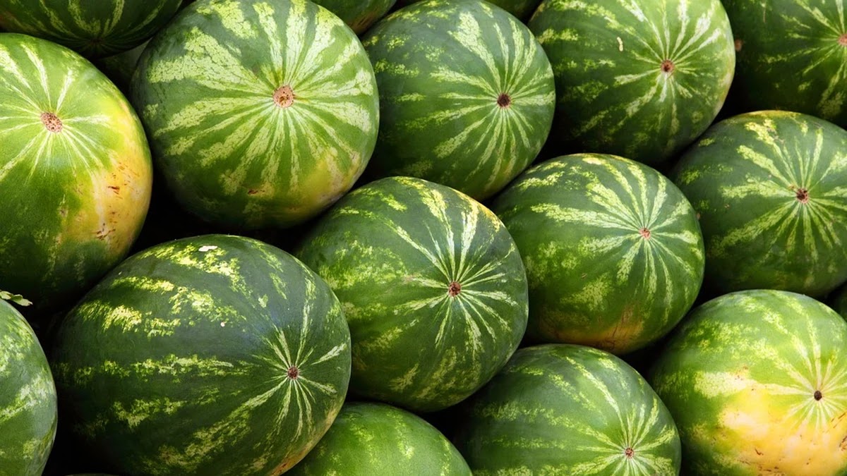 대출 규제가 부동산 매매 수요 구조에 미치는 체계적 분석