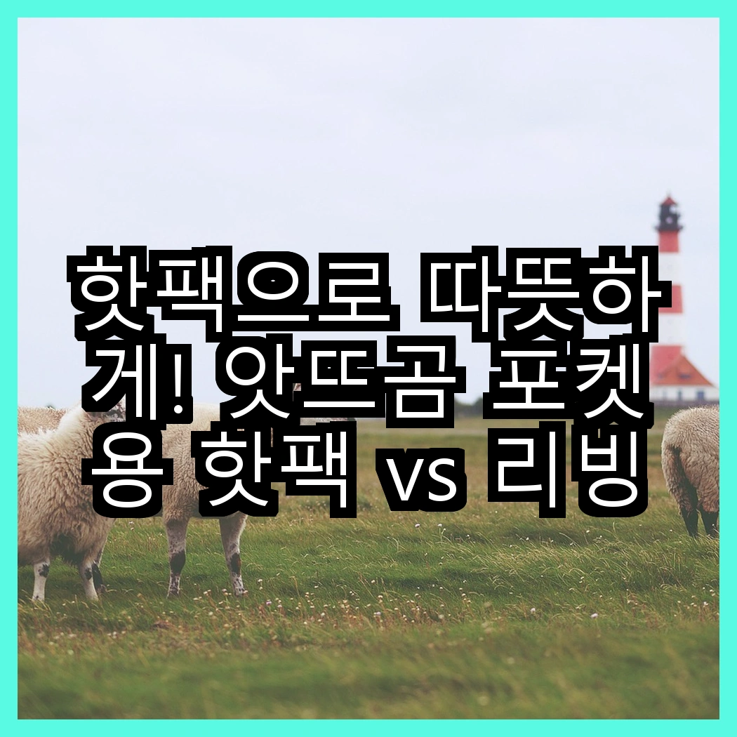 핫팩으로 따뜻하게! 앗뜨곰 포켓용 핫팩 vs 리빙공식 부착형 발난로, 어떤 것이 더 실용적일까? 썸네일