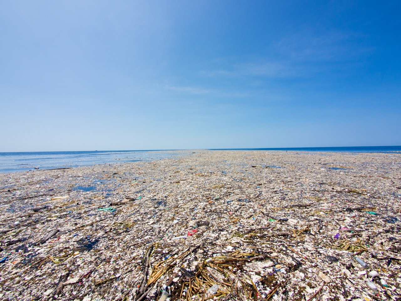 Great Pacific Garbage Patch. Plastic ocean, Great Pacific Garbage, plastic marine debris, micro plastic, nano plastic, plastic waste, waste management. CarbonEthics Indonesia