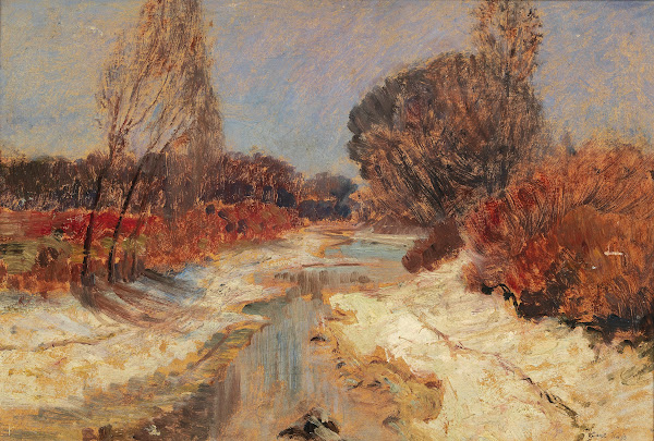 Donau Au