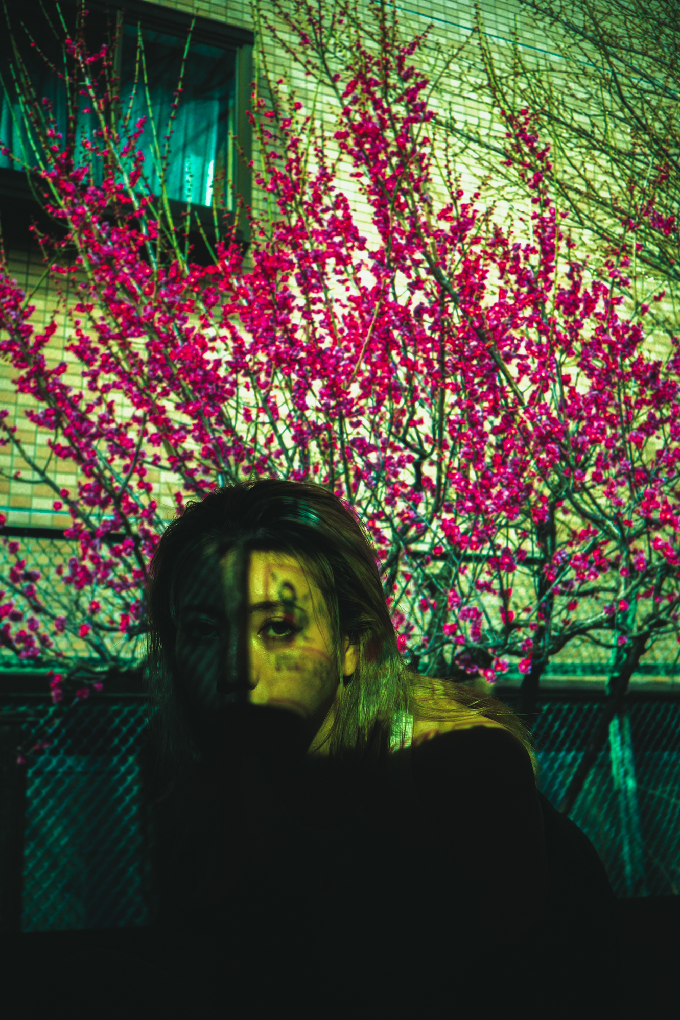 Portrait — Makino Shota