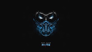 Sub Zero Face Wallpaper