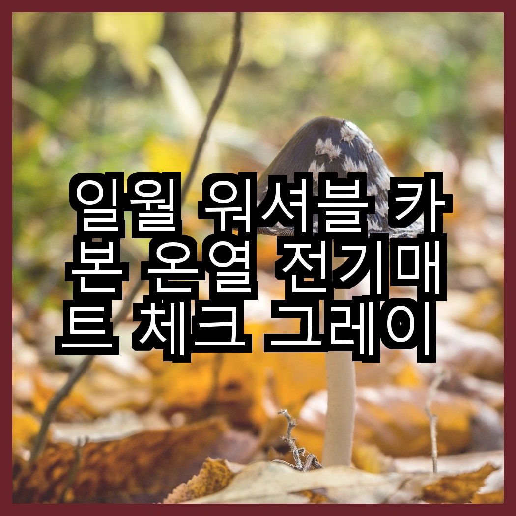 일월 워셔블 카본 온열 전기매트 체크 그레이 vs 일월 모던스타일 워셔블 매트, 어떤 매트가 더 따뜻할까? 썸네일