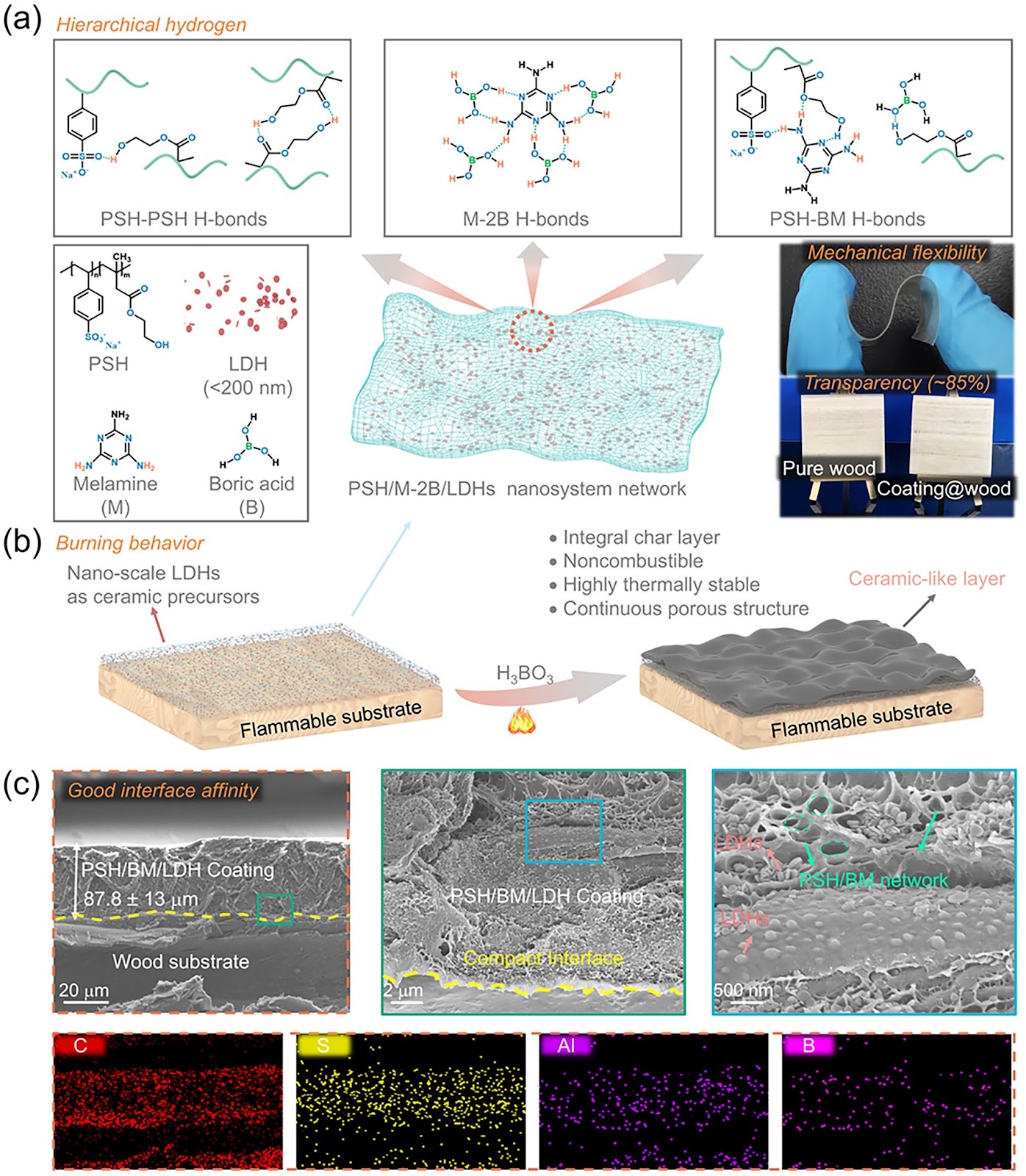 Layered Double Hydroxide Nanosheets Incorporated Hierarchical Hydrogen Bonding Polymer Networks for Transparent and Fire-Proof Ceramizable Coatings