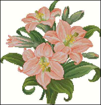 CMP 170320 Amarillis Bouquet