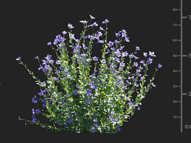 Maxtree - Plant Models Vol.112