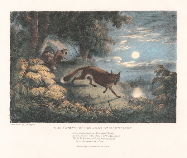 The Adventures of a Fox by Moonlight 1836