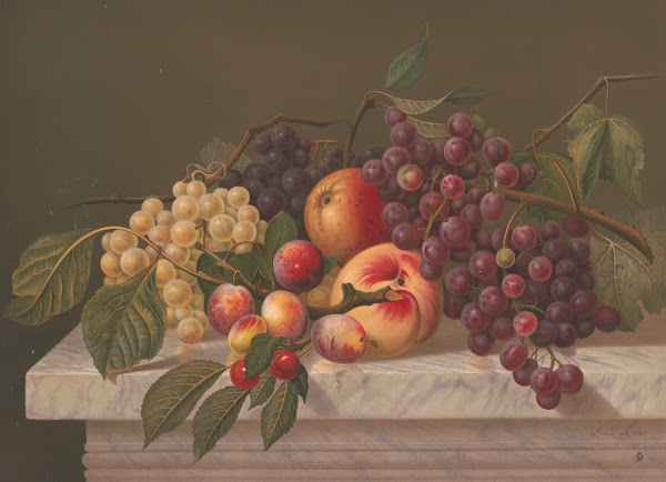American grapes