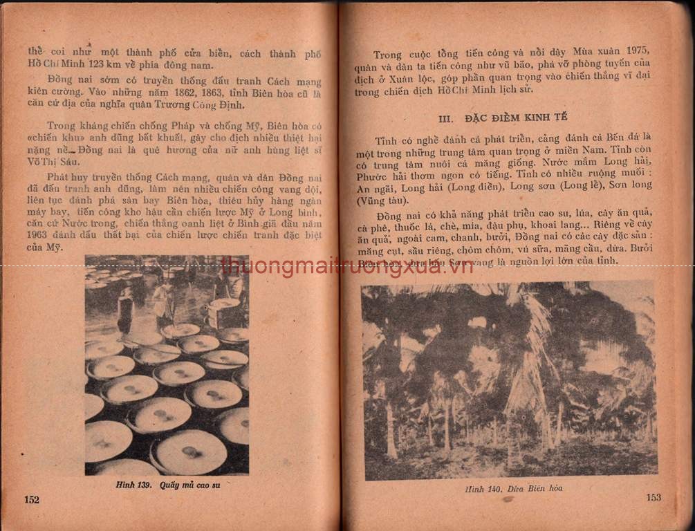 Tập san : Mực tím (số 59 - 1992) - Trang 77