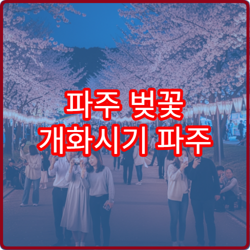 파주 벚꽃 개화시기 파주 봄꽃 절정 시기