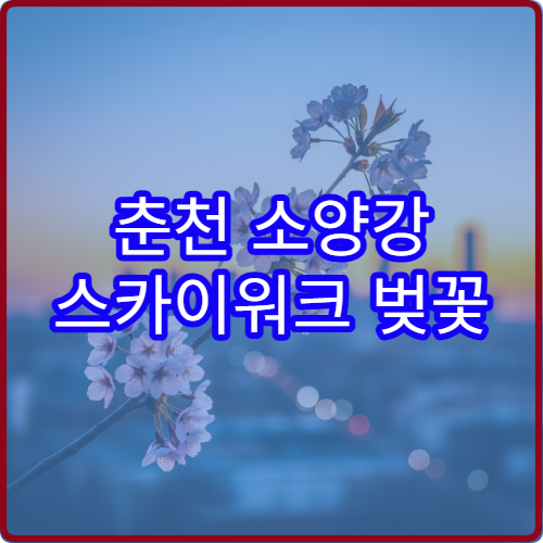 춘천 소양강 스카이워크 벚꽃 뷰 황금석 예약과 사진 팁