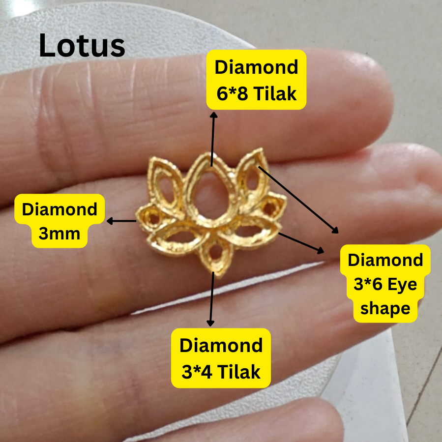 Base Lotus Base (pack Of 50)