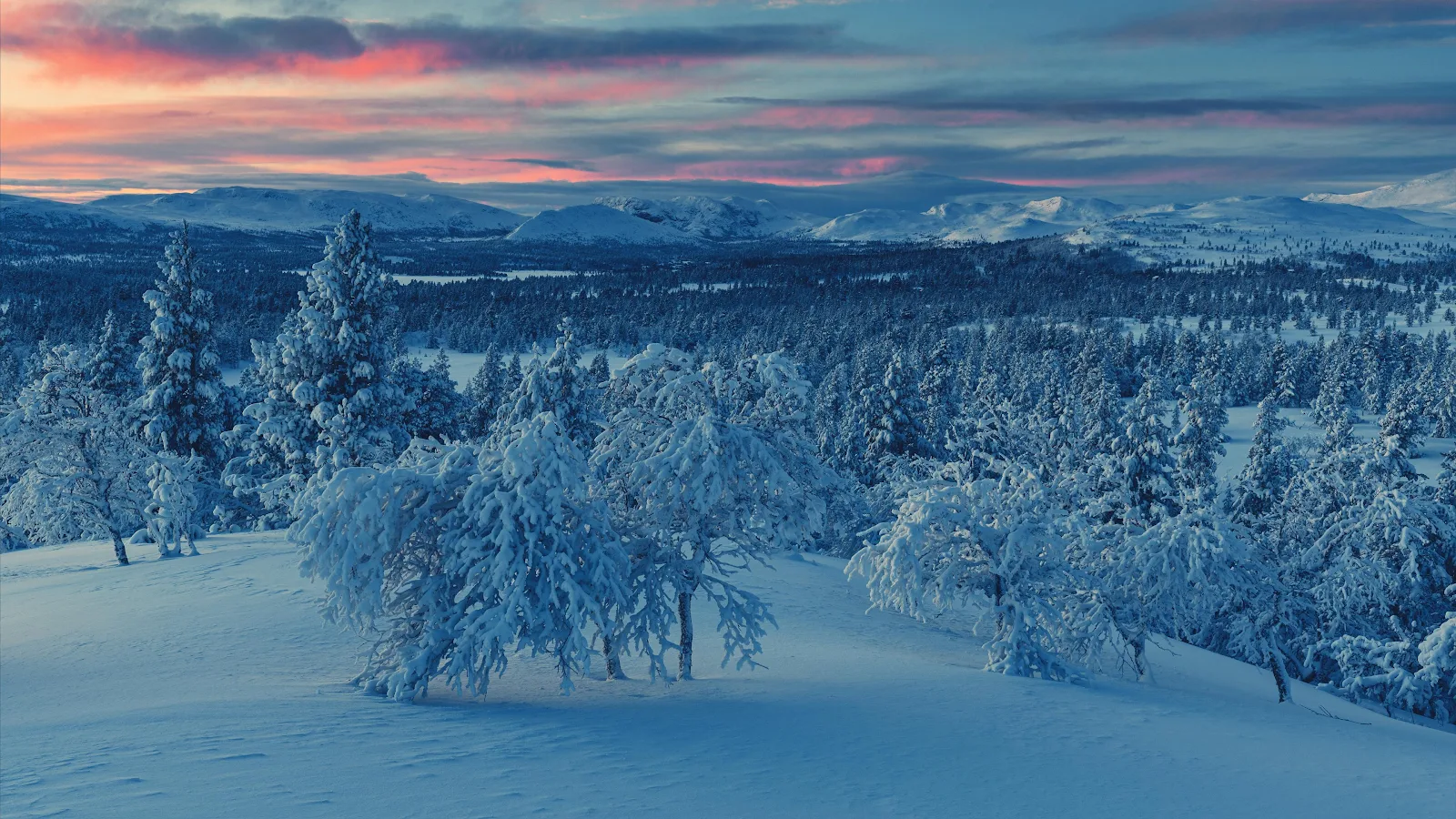 Pink Sunset Over Snowy Wilderness - Nature Photography 4K Wallpaper (3840x2160)