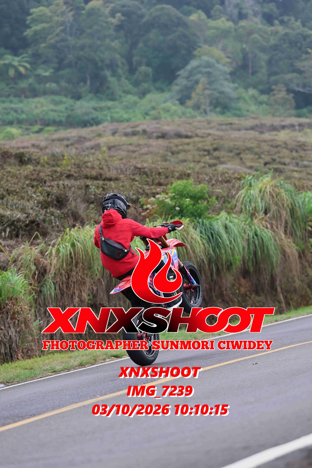 IMG_7239_result.jpg