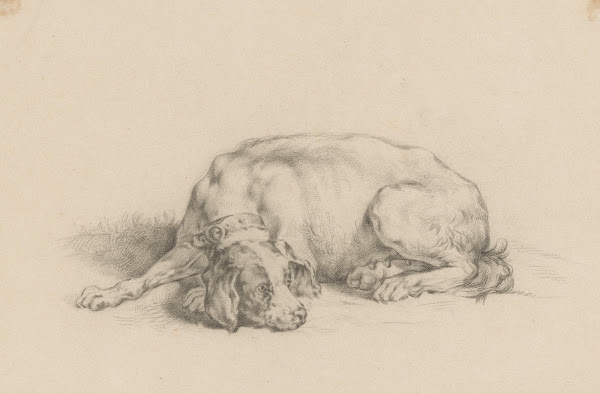Liggende hond 1851