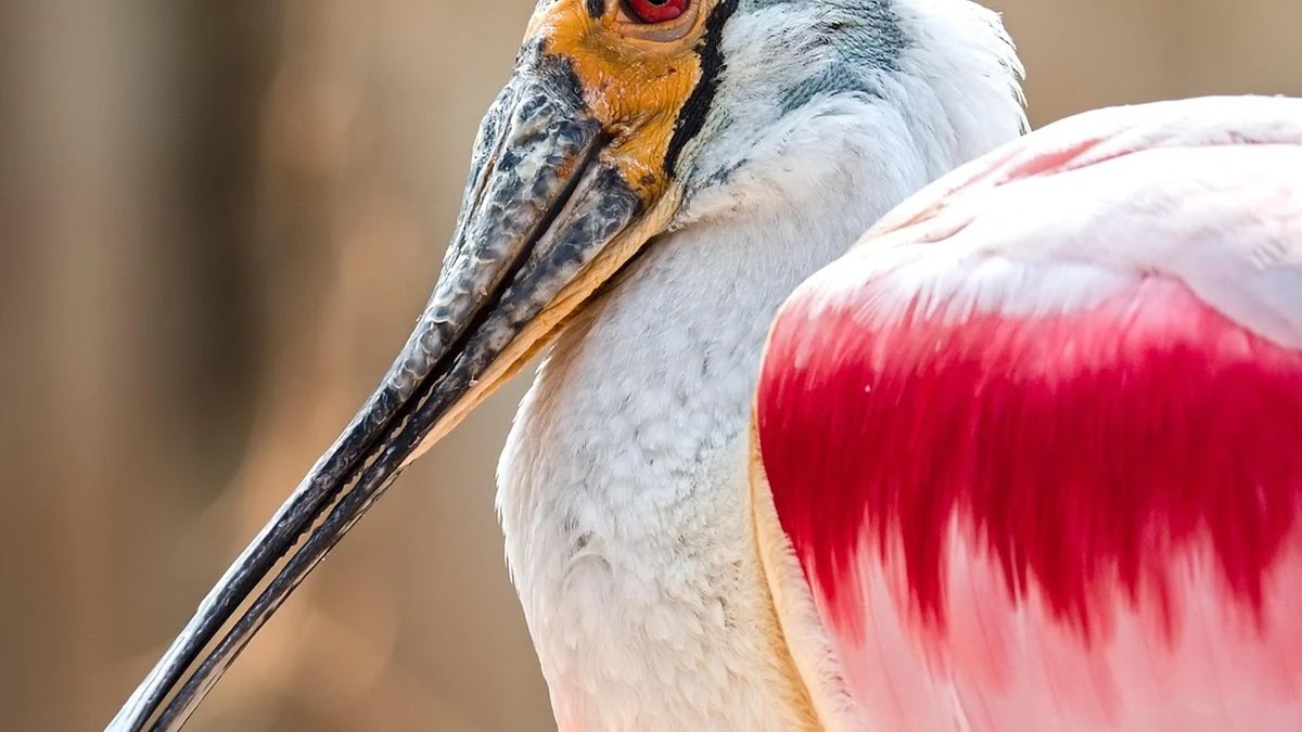 최저임금 인상에 따른 가계