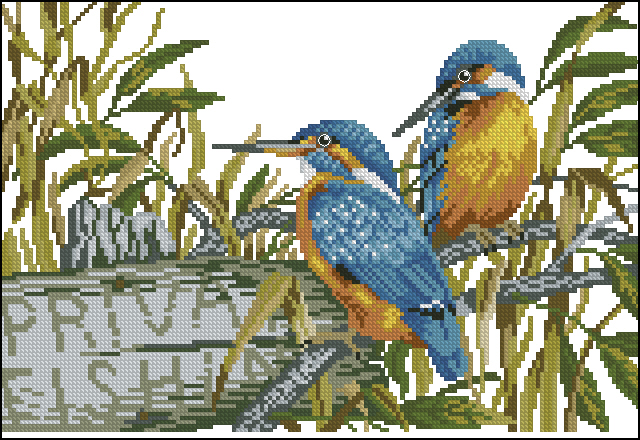 CMP ER14147 Kingfishers