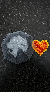 Macro Close-up of Blue Iris Flower