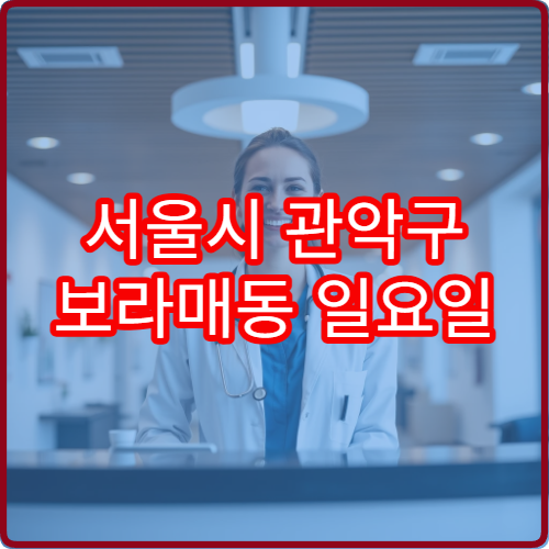 서울시 관악구 보라매동 일요일 정신건강의학과 안내