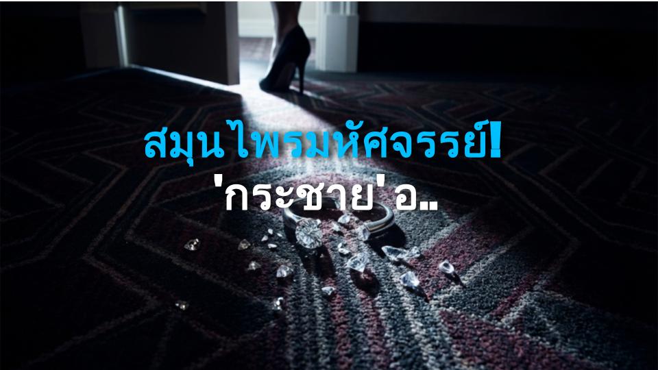 สมุนไพรมหัศจรรย์! กระชาย อาวุธลับจากธรรมชาติ ปกป้องตับ-สมอง-หัวใจ