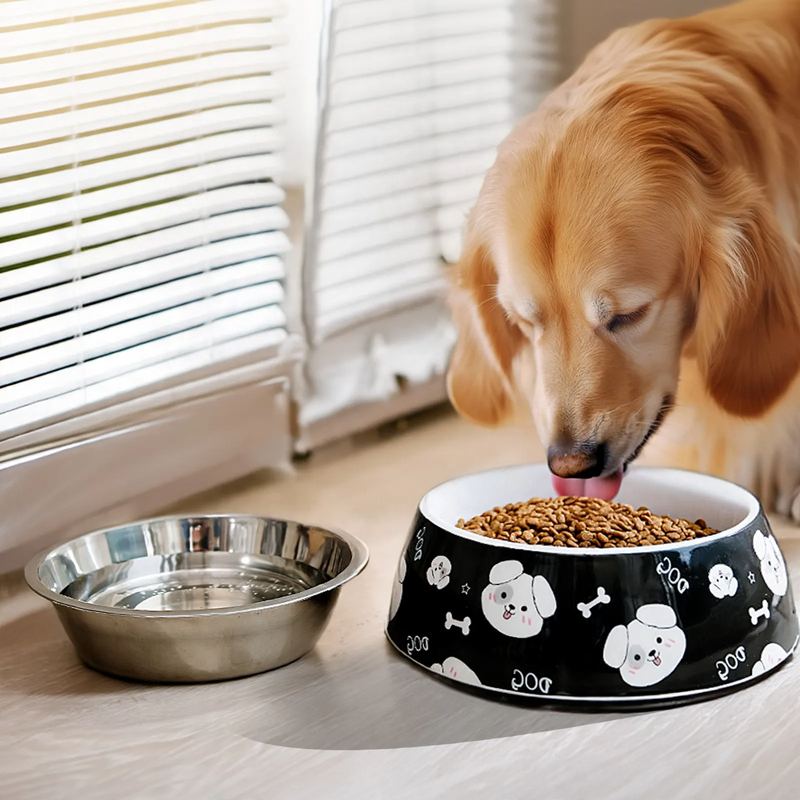 Futternapf für große Hunde, Edelstahl