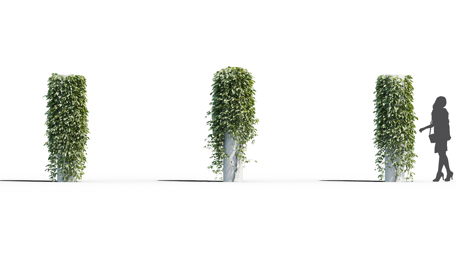 Maxtree - Plant Models Vol.37