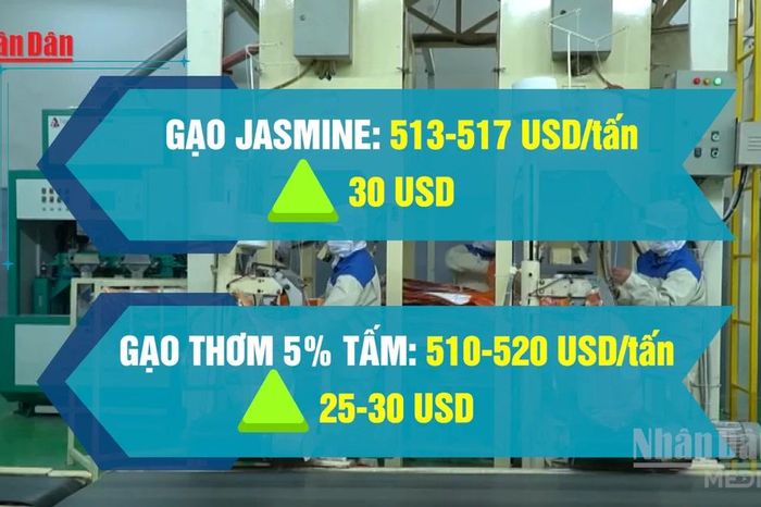 [Video] Giá gạo xuất khẩu của Việt Nam tăng trở lại - Báo Nhân Dân