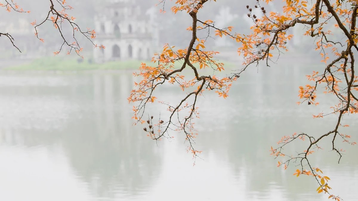 연봉 협상 준비 과정과 실전 대화 전략 정리