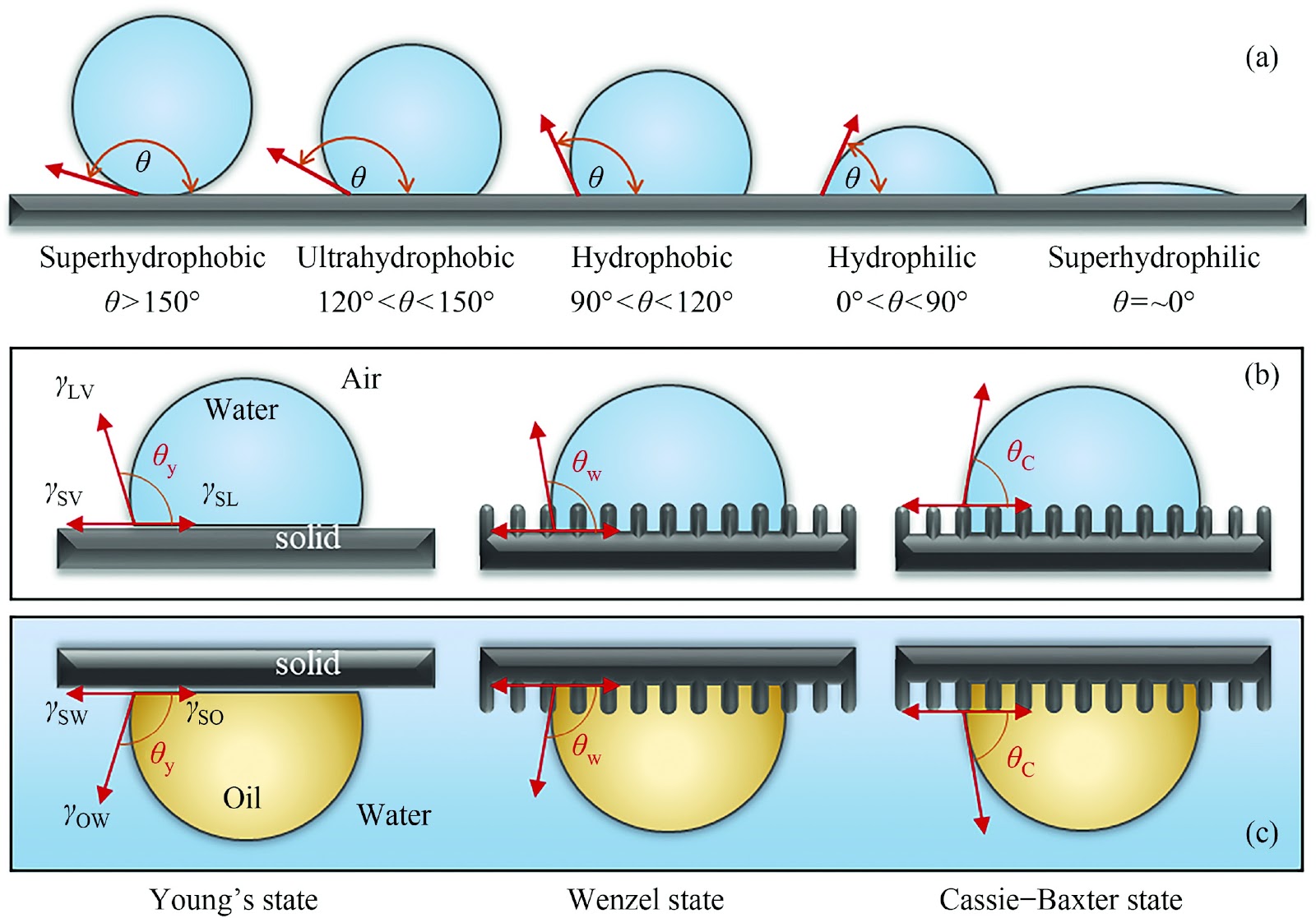 Recent study on hydrophilization of polyvinylidene fluoride membrane for oily wastewater treatment