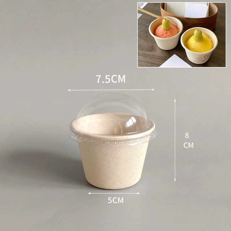 Disposable paper container, biodegradable