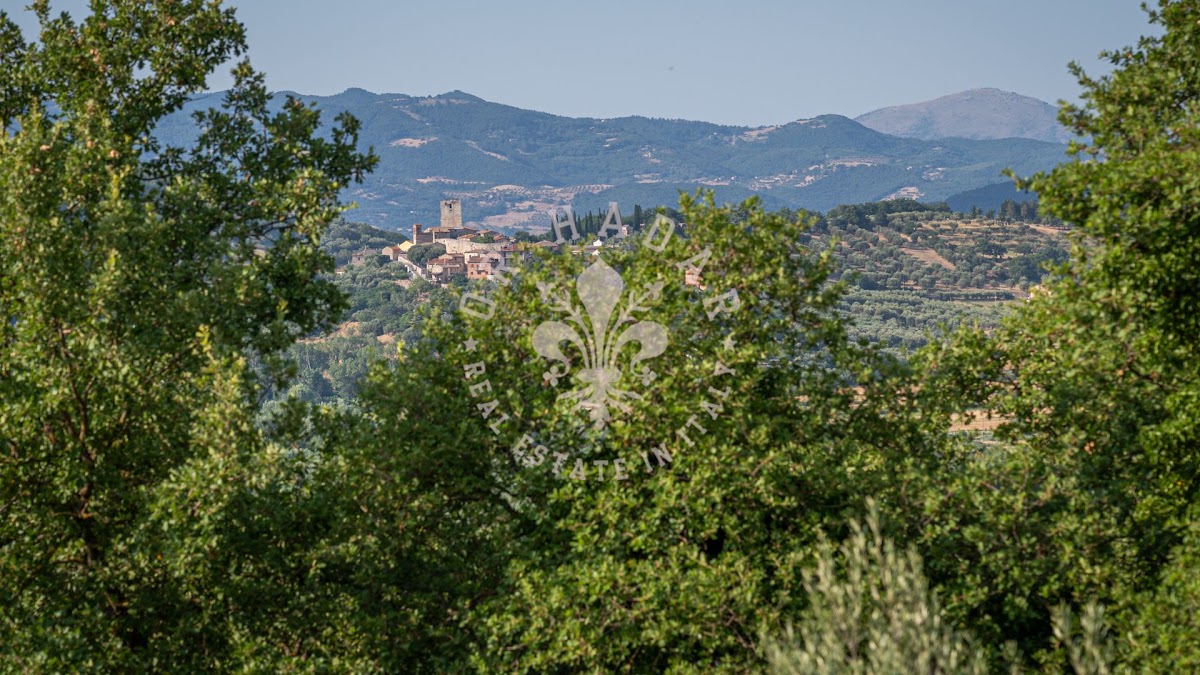 פודרה פוג'ו אל לאגו (Podere Poggio al Lago) — 41