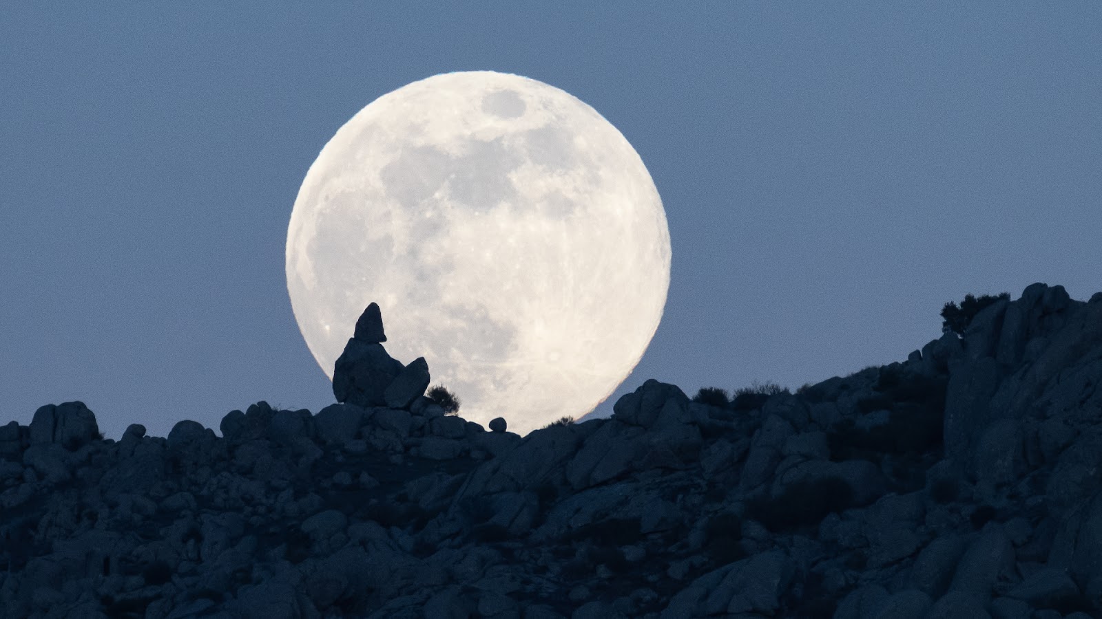 Catch the First Supermoon of 2026: Wolf Moon Lights Up Skies This Weekend