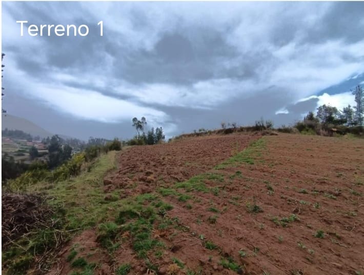 Imagen 13 de Terreno (Modal)