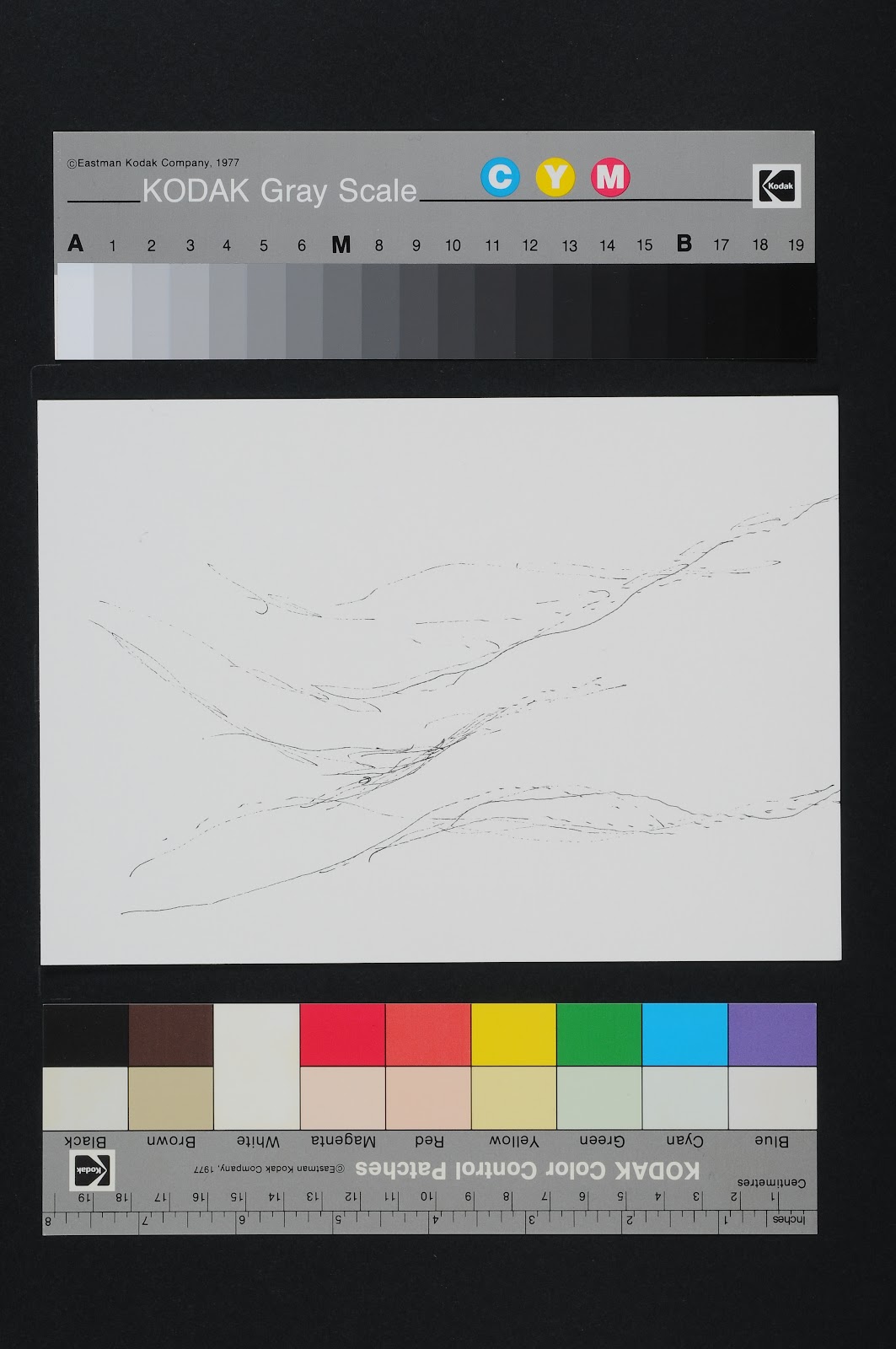 Drawn Poems