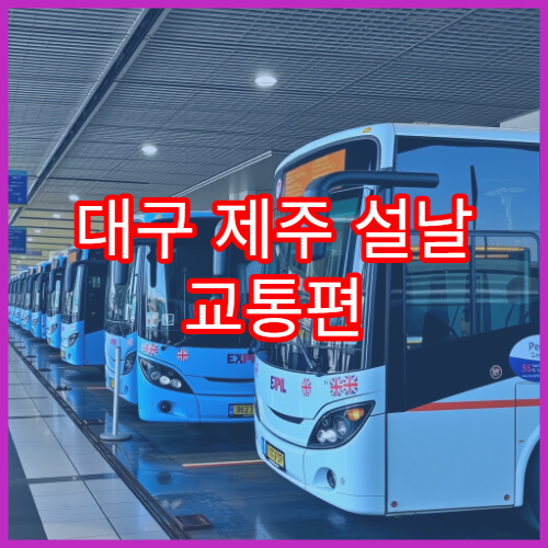 대구 제주 설날 교통편 총정리 및 버스 비행기 예약 안내
